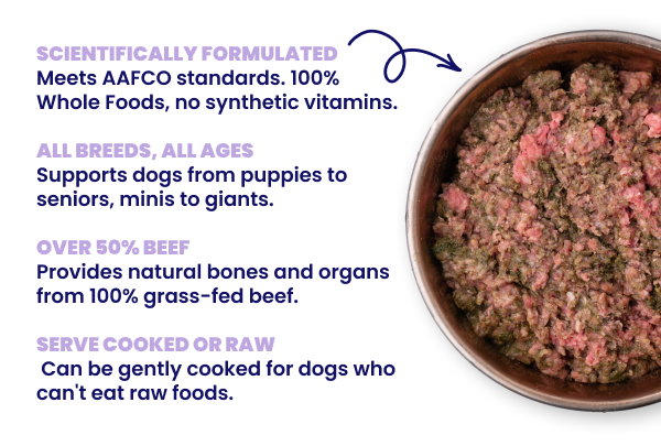 Raw and cooked meals made easy with Meat Mixer.
