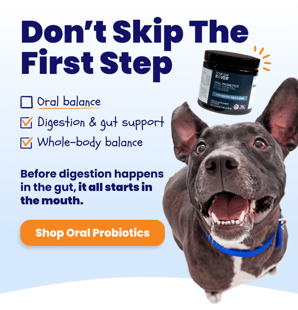 Shop Oral Probiotics