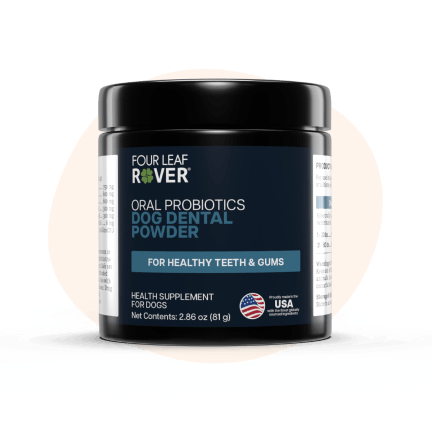 Oral Probiotic dental powder jar