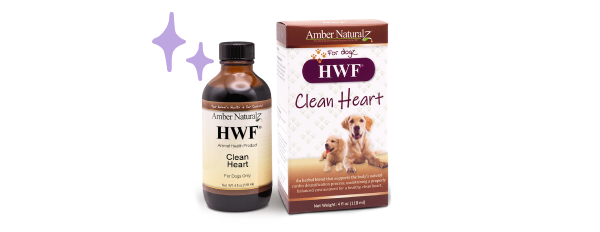 HWF Clean Heart jar and box