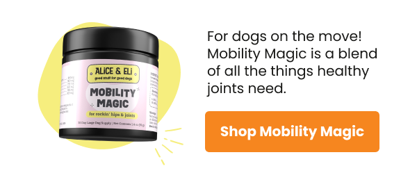 Shop Mobility Magic