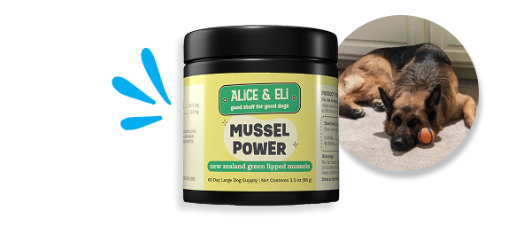 5 star review for Mussel Power
