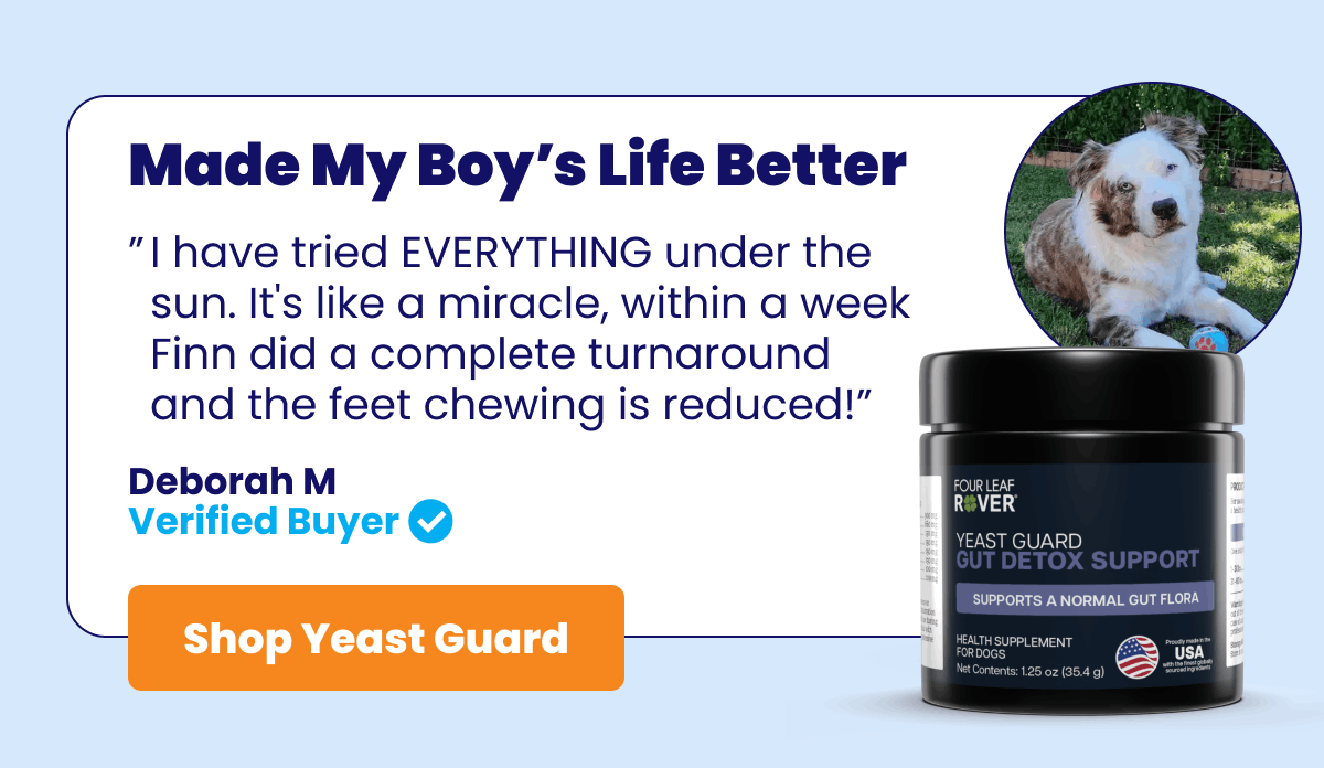 Shop Yeast Guard