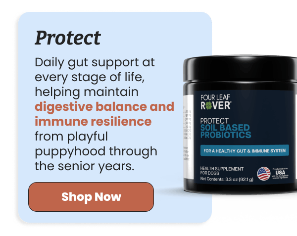 Daily gut support with Protect