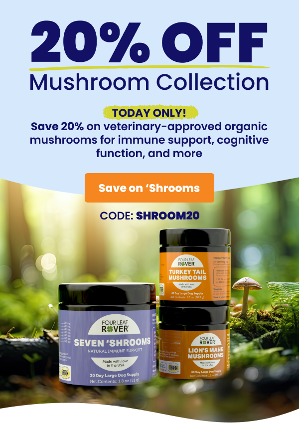 More to love! New large size of Protect.