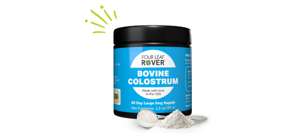 Colostrum