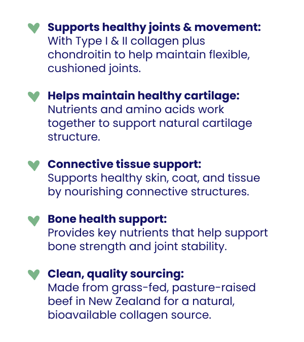 Bovine Colostrum with benefits for allergies, immunity, and gut health.