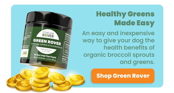 Healthy Greens Made Easy With Green Rover