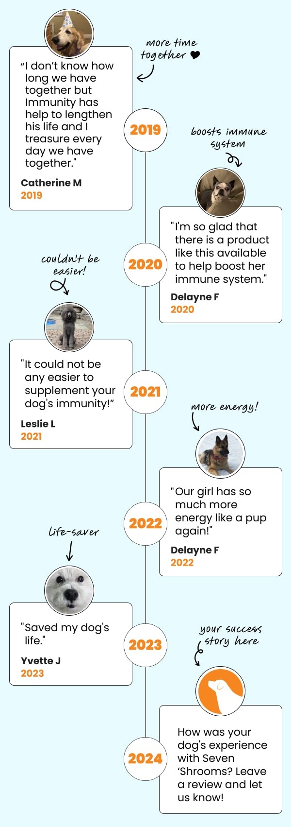 timeline with testimonials over the years