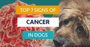 signs of cancer