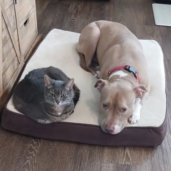 Doreen R's 5 Star Review