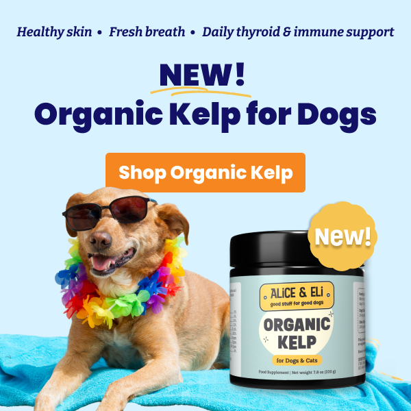 Shop Organic Kelp