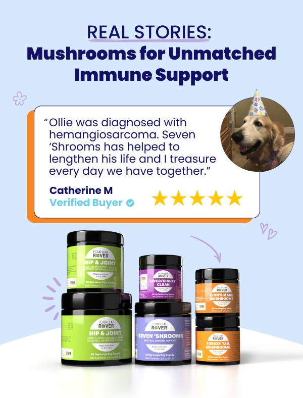 Image of mushroom products and testimonial in bubble Real Mushroom stories