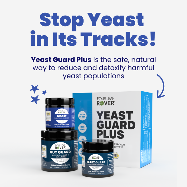 Stop yeast with Yeast Guard Plus