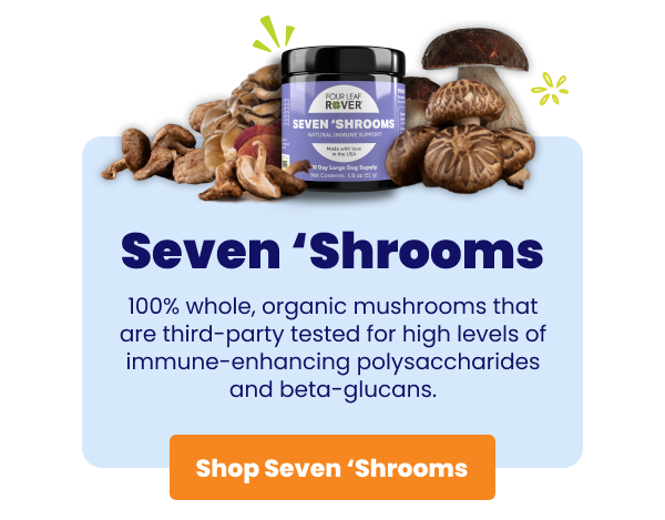 Seven 'Shrooms jar with mushrooms around it and blue box with description 