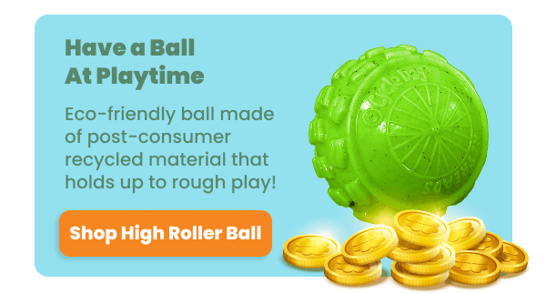 Have a ball at playtime with the High Roller Ball