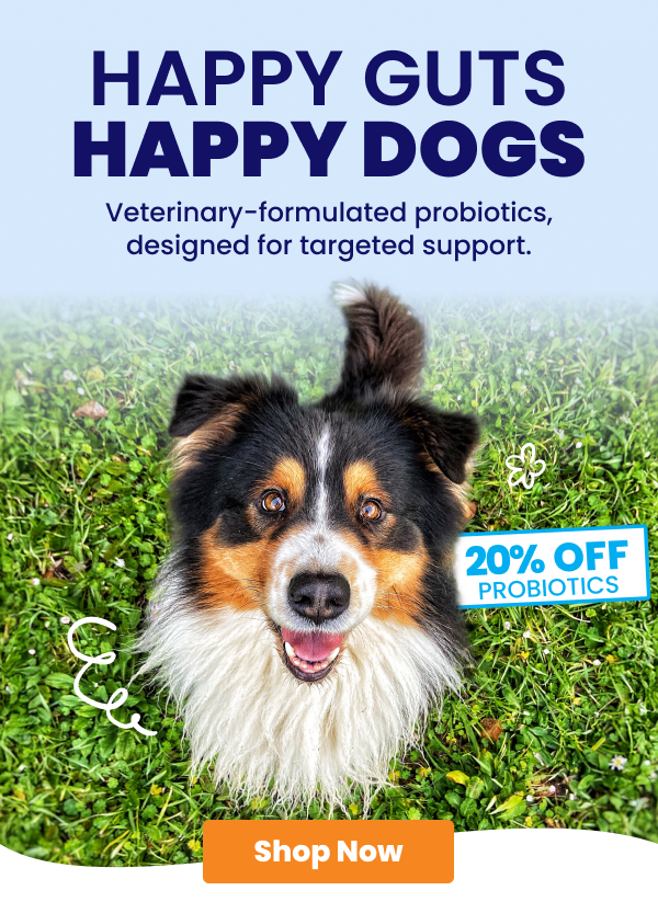 Save 20% on probiotics