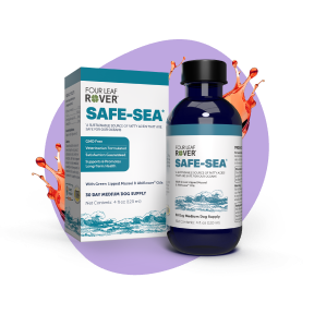 Safe-Sea