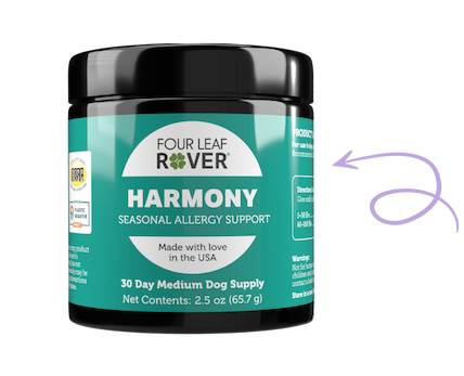 Harmony