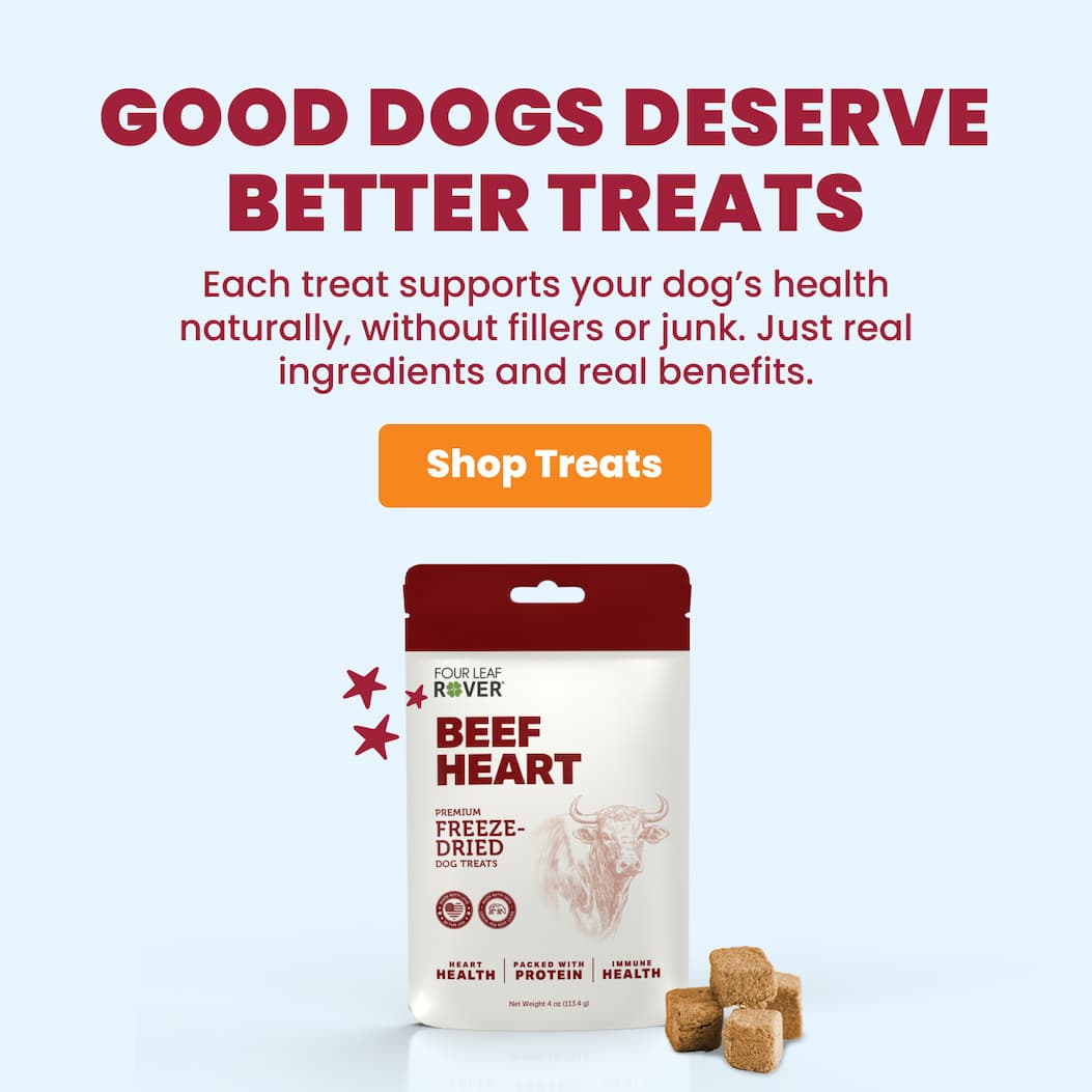 Holiday toys in store now