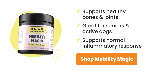 jar of Mobility Magic