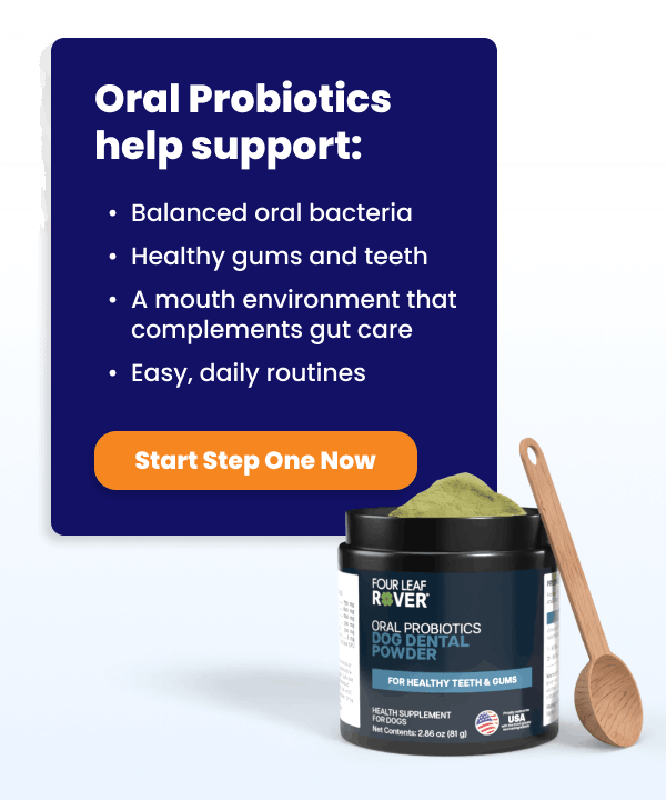 Support healthy gums and teeth with Oral Probiotics