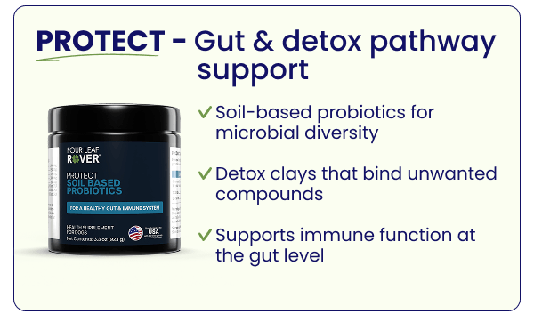 Protect for Gut and detox support