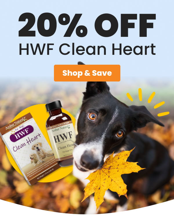 image of dog holding leaf in mouth and Clean Heart bottle 25% Off