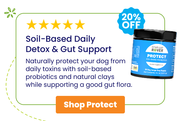 Protect - soil-based daily detox and gut support