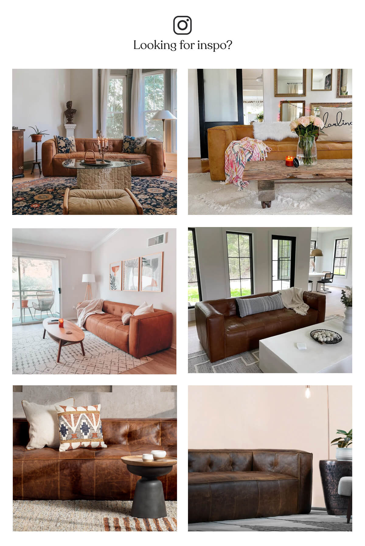 Style Spotlight The Capa Sofa Poly and Bark