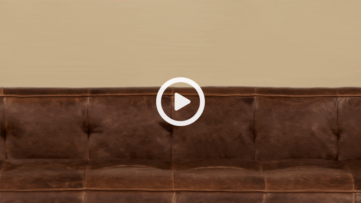 Style Spotlight The Capa Sofa Poly and Bark