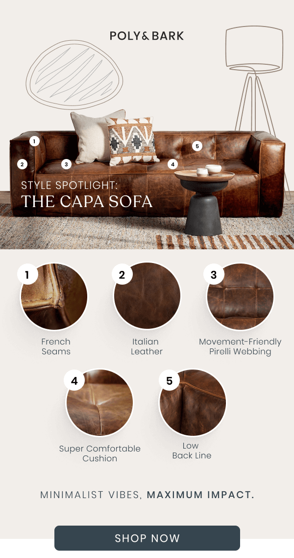 Style Spotlight The Capa Sofa Poly and Bark