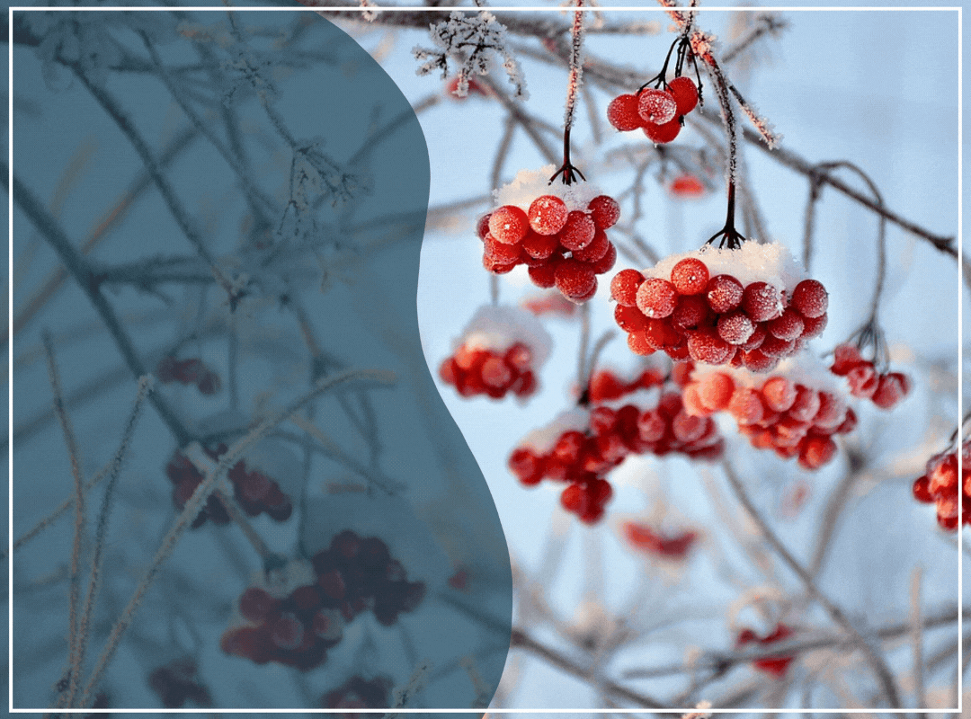 PAMPER YOUR HOLIDAYS