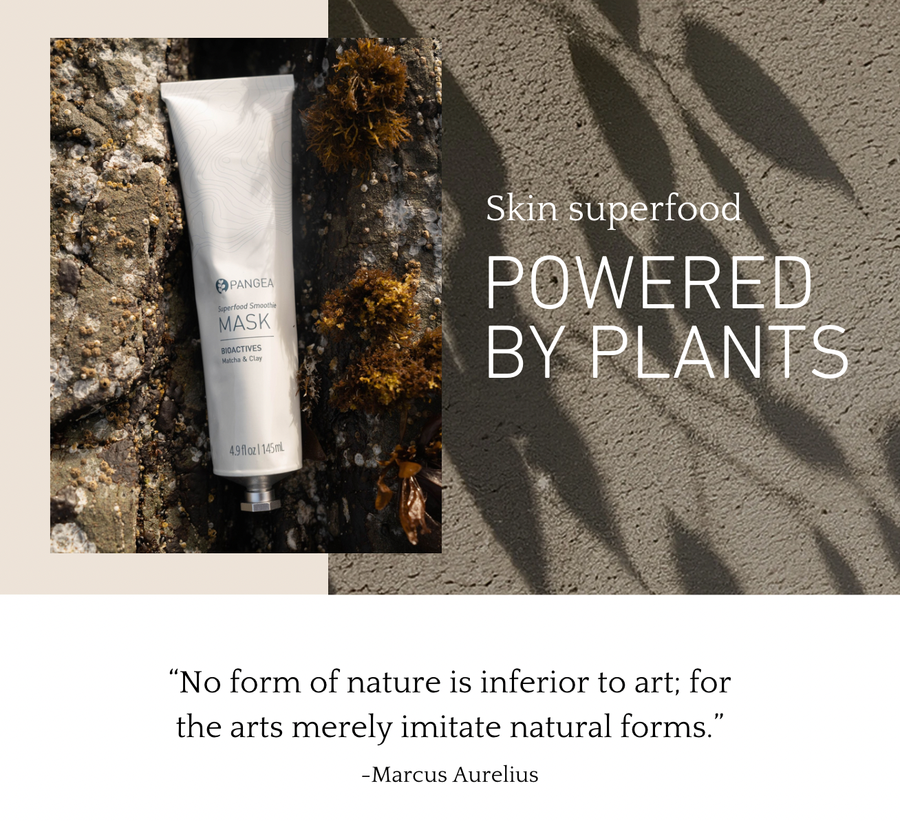 Superfood Smoothie Mask