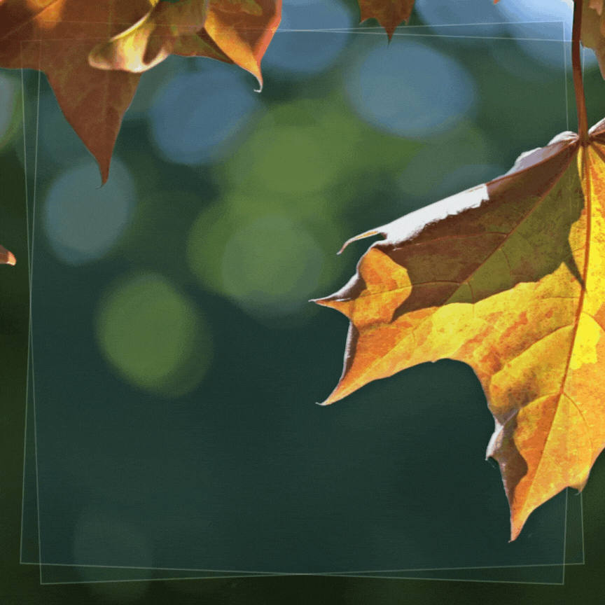 LAST HOURS TO SAVE 30% OFF EVERYTHING 