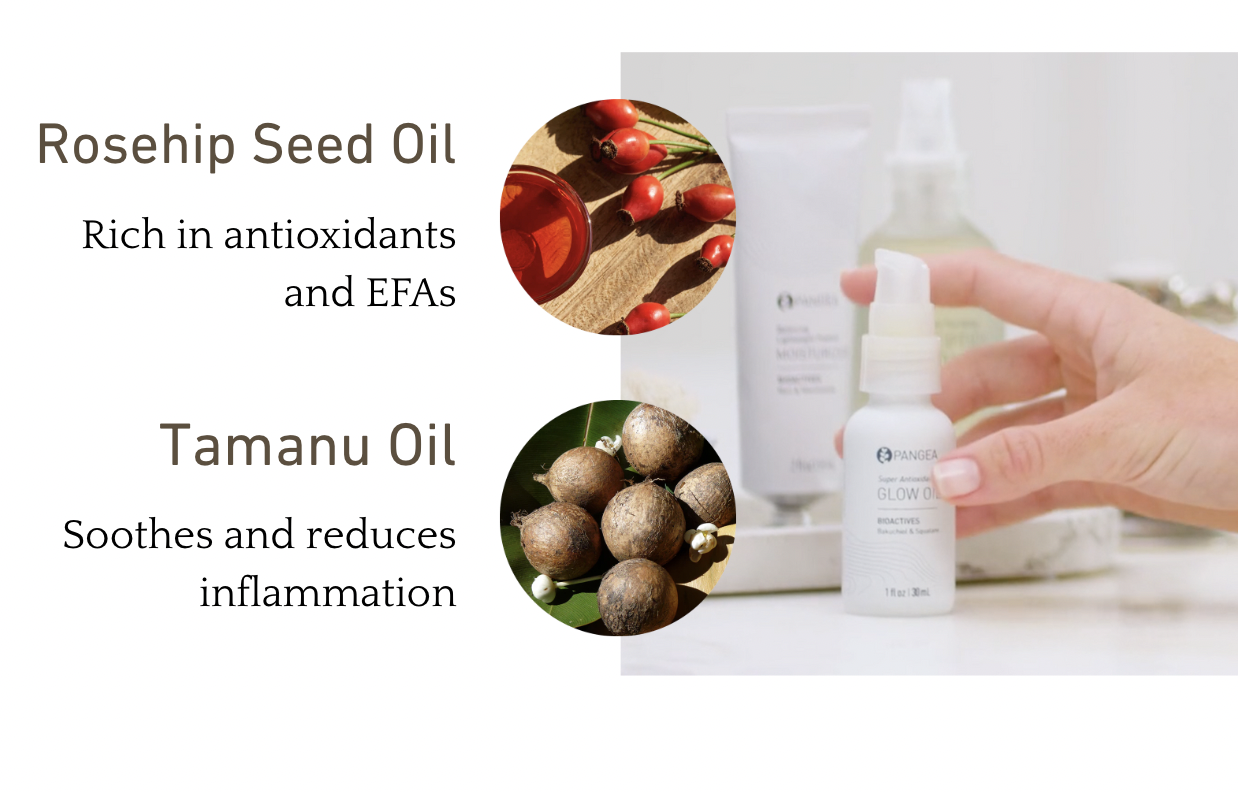 Super Antioxidant Glow Oil