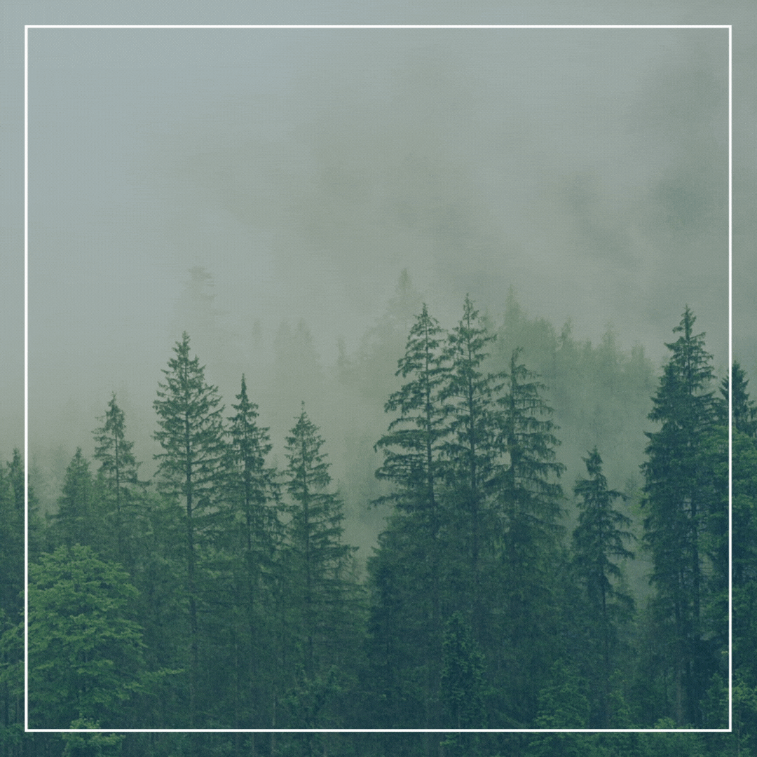 TELL US YOUR BIRTHDAY