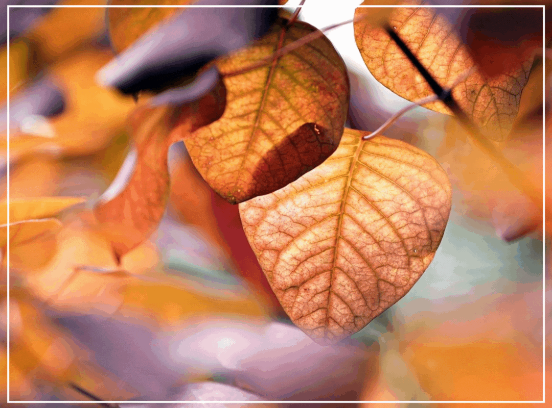 In appreciation for your support 