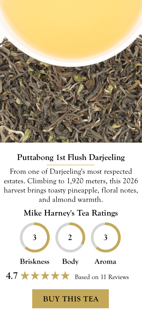Puttabong 1st Flush Darjeeling