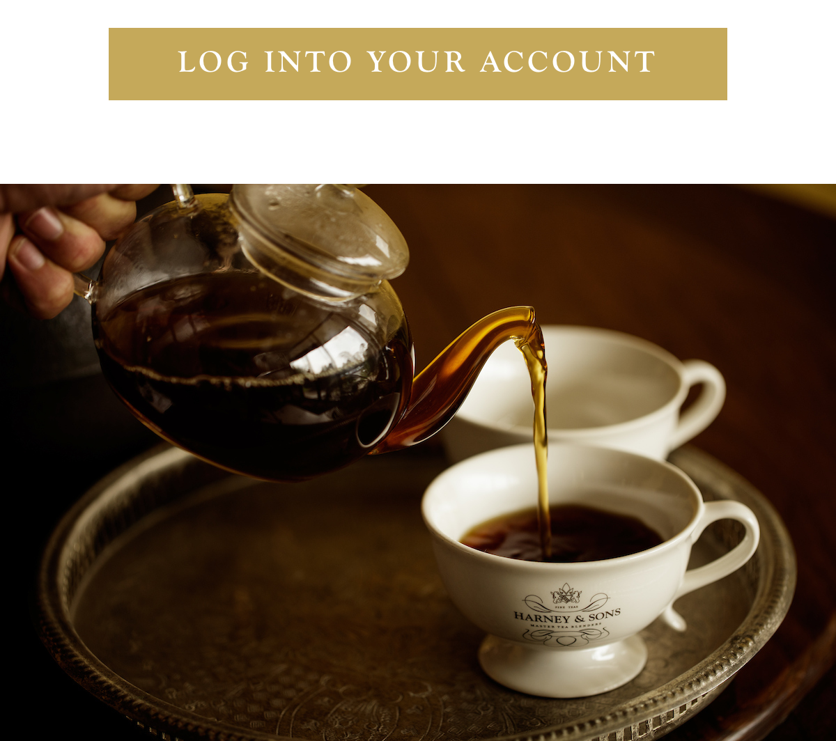 Log Into Your Account Now >