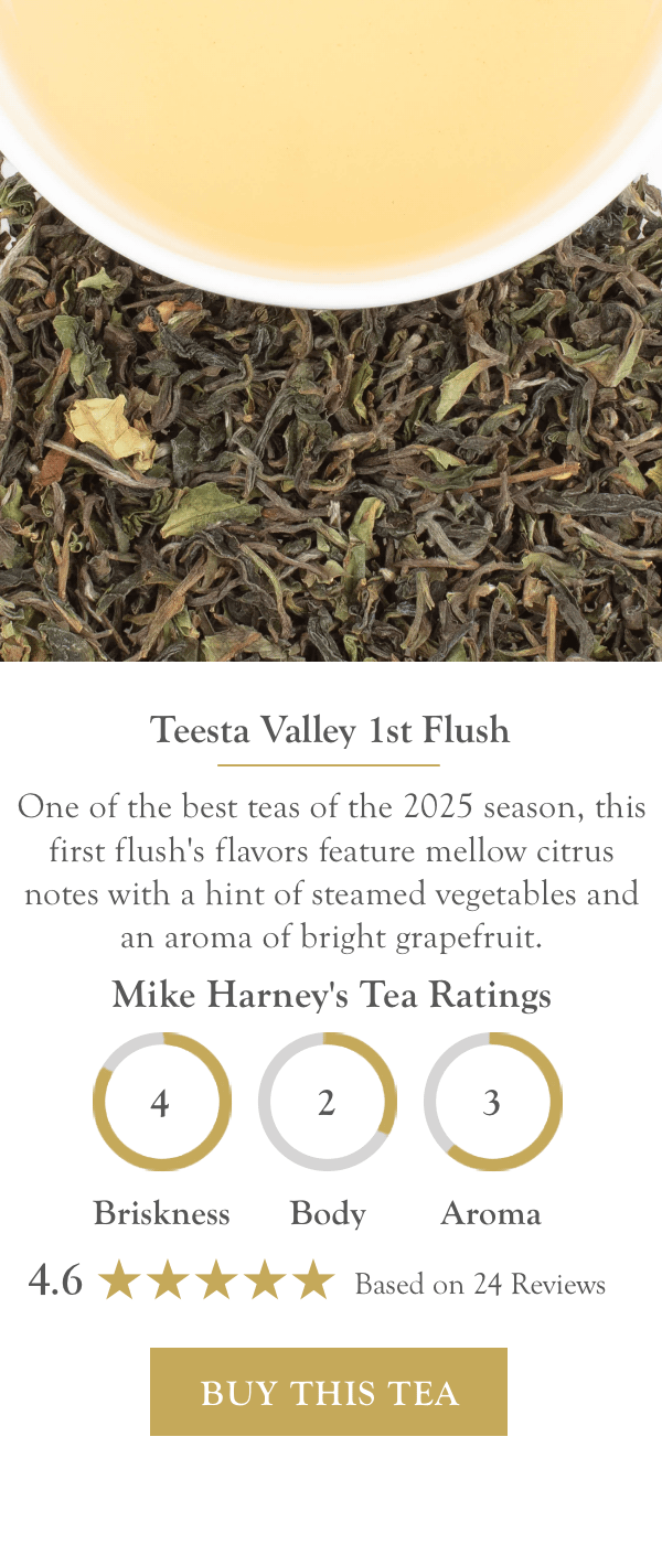 Teesta Valley 1st Flush