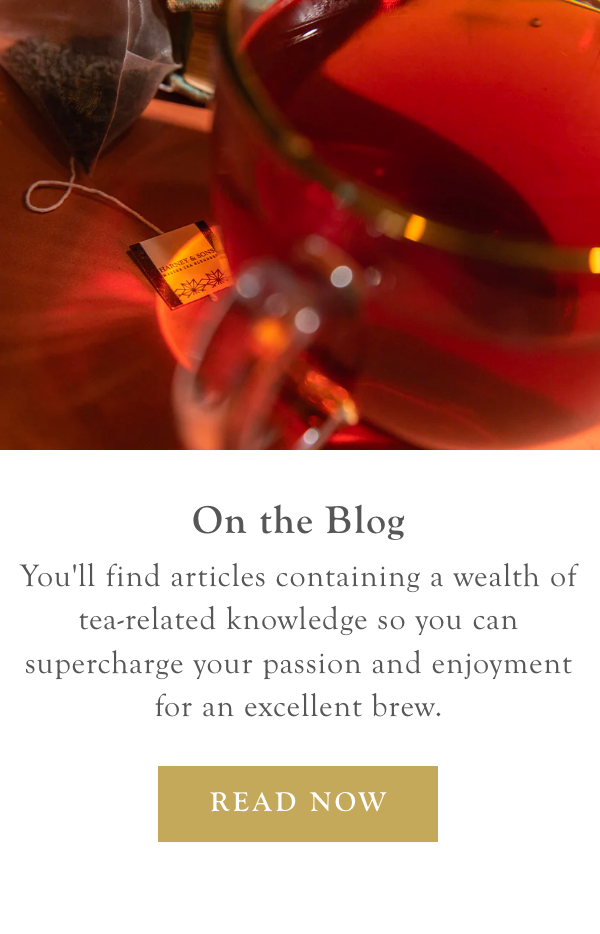 On the Blog