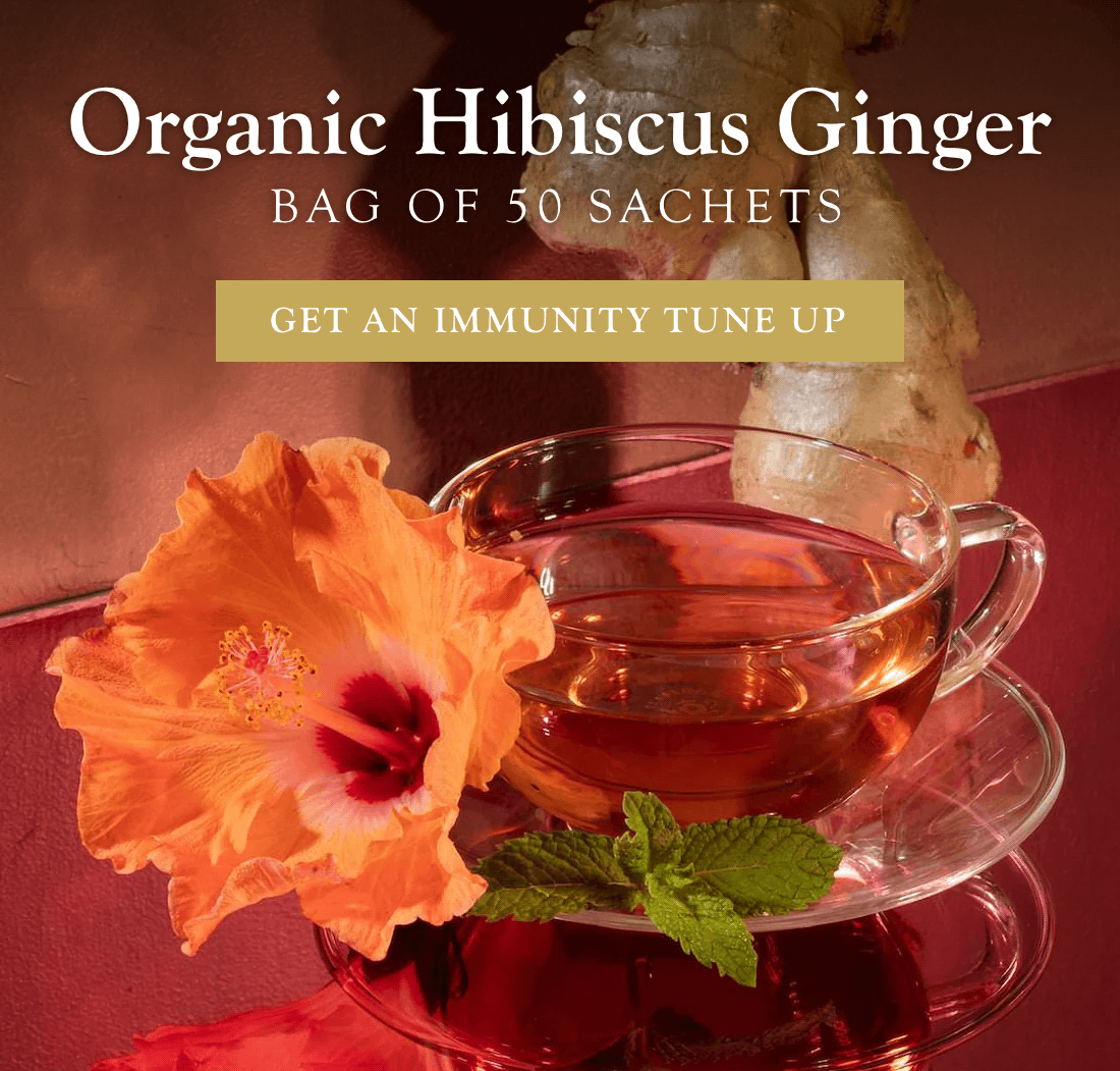 Organic Hibiscus Ginger Bag of 50 Sachets  |  Get an Immunity Tune Up >