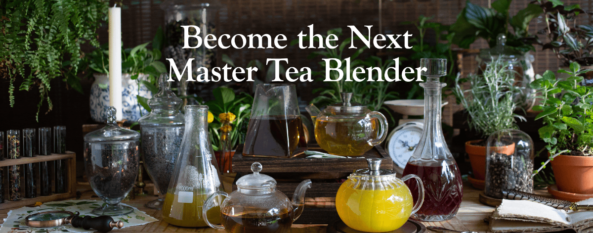 The Next Master Blender Contest
