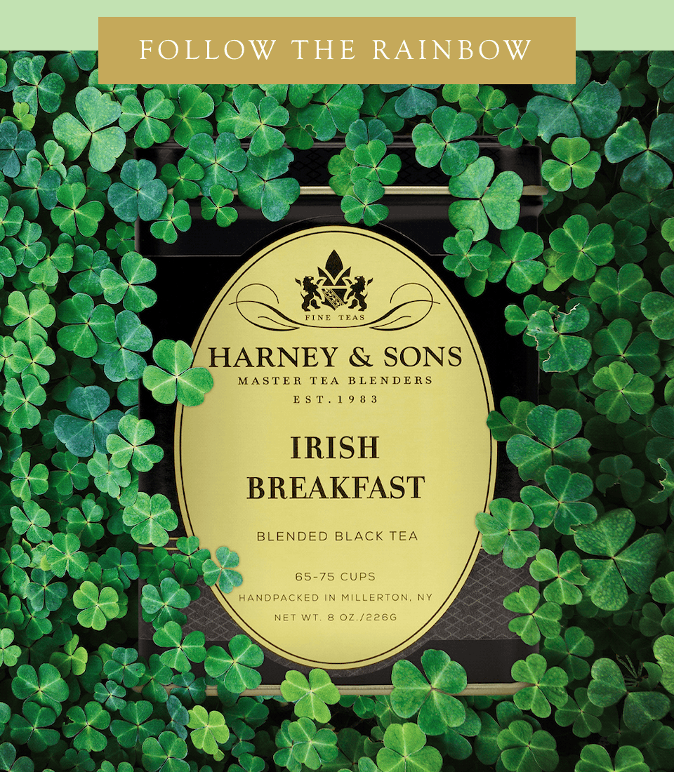 Follow the Rainbow >