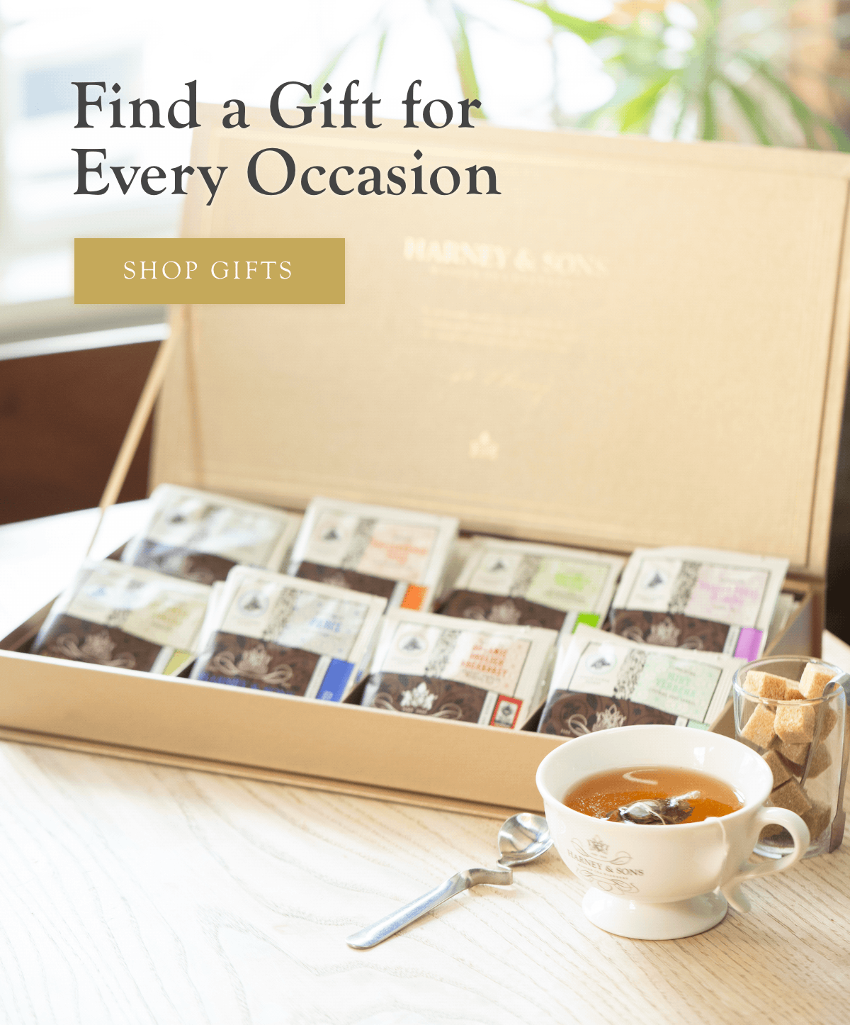 Find a Gift for Every Occasion >