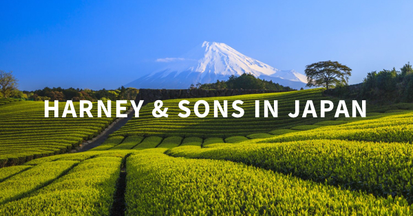 Harney & Sons Tea in Japan Trip 2019