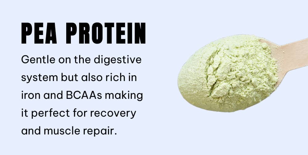 pea protein