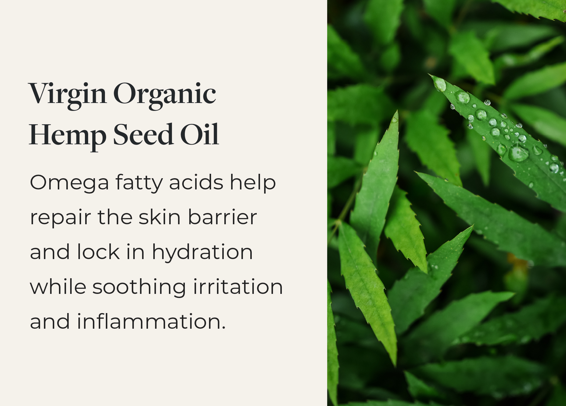 🤲 The Healing Touch You've Been Waiting For Little Seed Farm