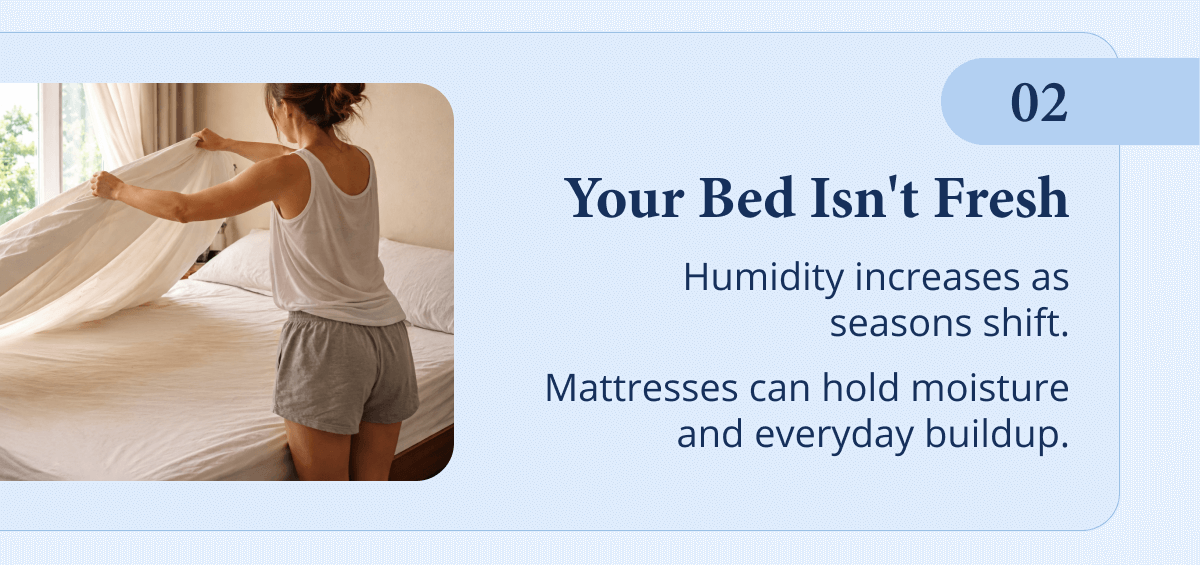 2. Your bed isn't fresh